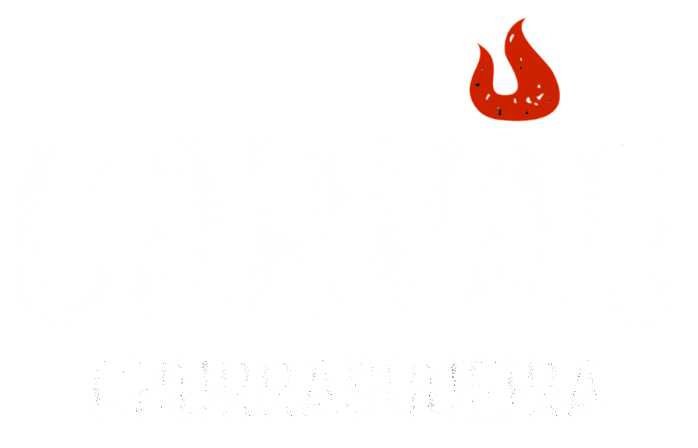 logo carvao churrasqueiras